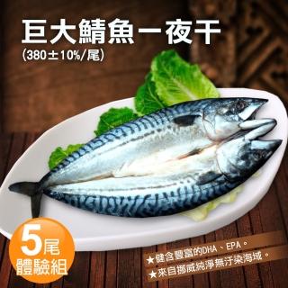 【優鮮配】挪威當季鯖魚一夜干5尾體驗組(約380g/整尾)