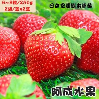 【阿成水果】日本空運草莓禮盒 2盒(16-22粒/600g/盒)