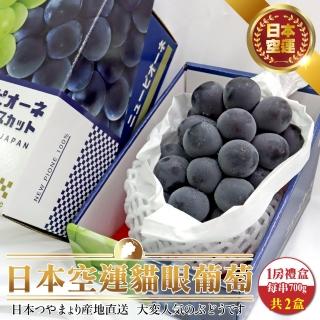 【WANG 蔬果】日本岡山貓眼葡萄(2房/每房約700g±10%含盒重)