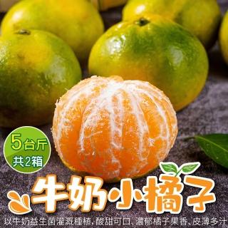 【WANG 蔬果】台灣特級25-27A青皮椪乾(5斤±10%)