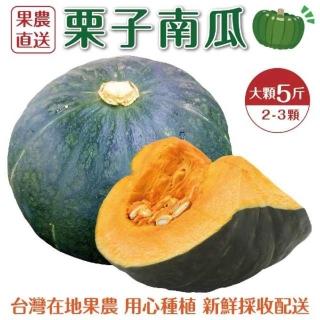 【WANG 蔬果】日本品種綠皮栗子南瓜(5斤±10%/約6~8顆)