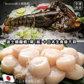 【海肉管家】加拿大波士頓螯龍蝦(送日本生食4S干貝)