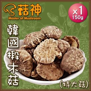 【菇神】韓國寒帶頂級認證椴木菇-A級特大菇1包入(150g/包)